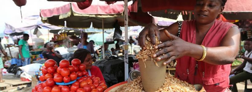 about Izon-Ibe Microfinance Bank
